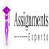 Assignments Experts UK