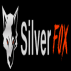 SilverFox | Digital Marketing Agency